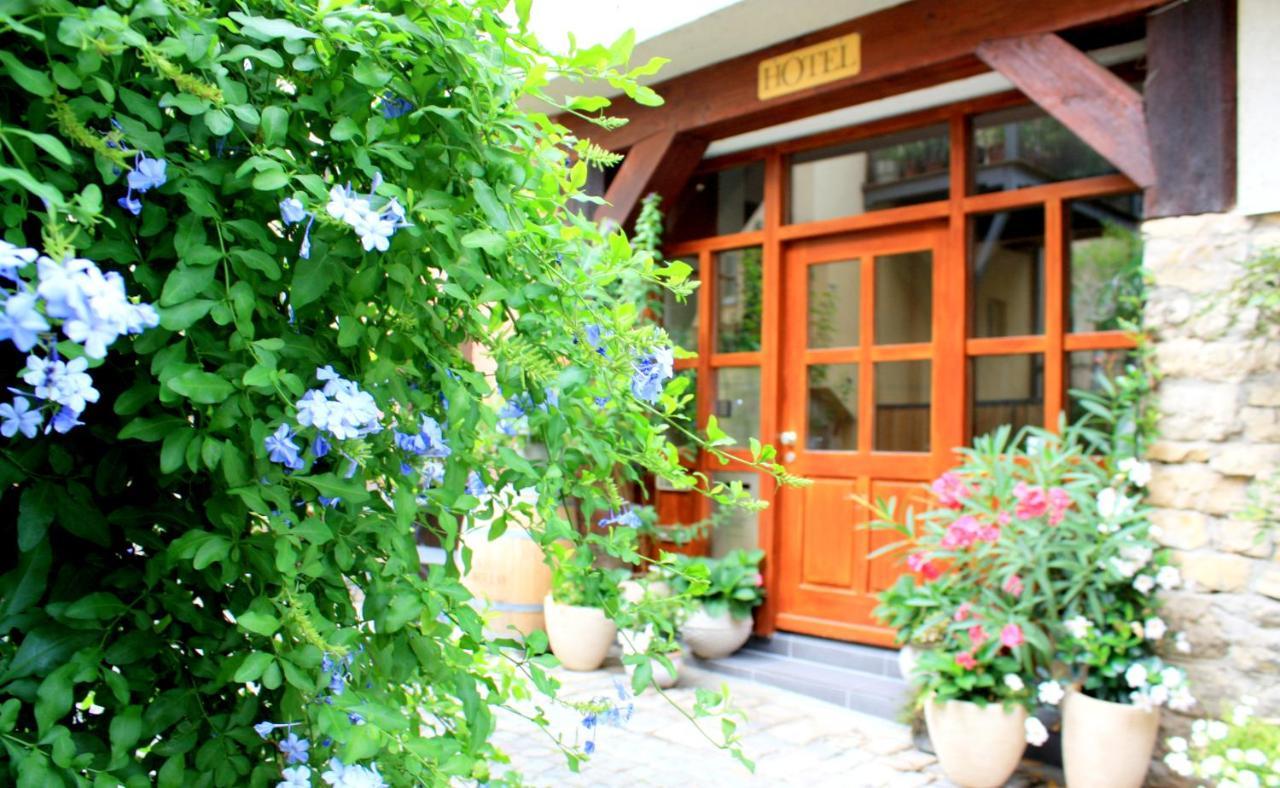 D & S Hotel & Ferienwohnungen Besigheim Luaran gambar