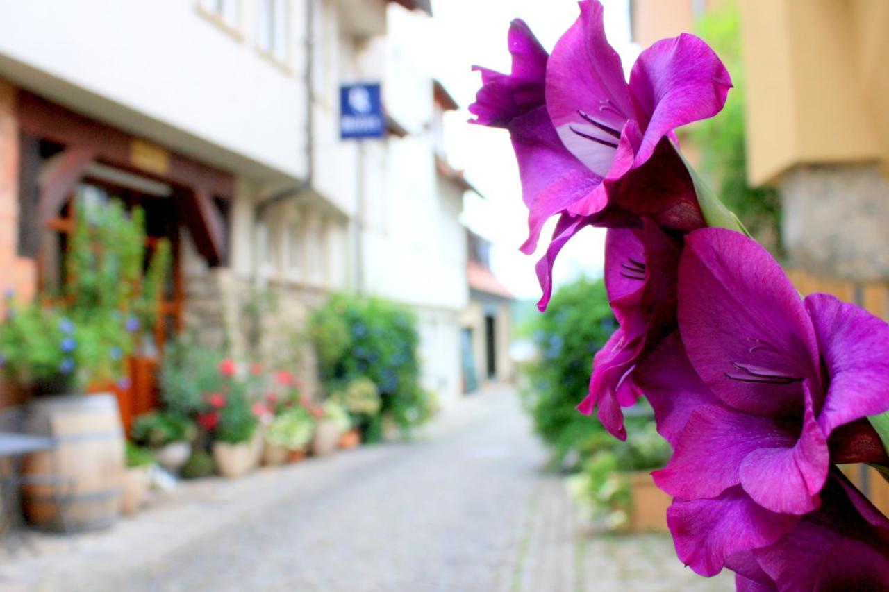 D & S Hotel & Ferienwohnungen Besigheim Luaran gambar